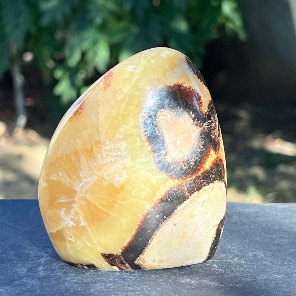 Septaria structura forma libera m4, piatra dragonului, druzy.ro, cristale 1