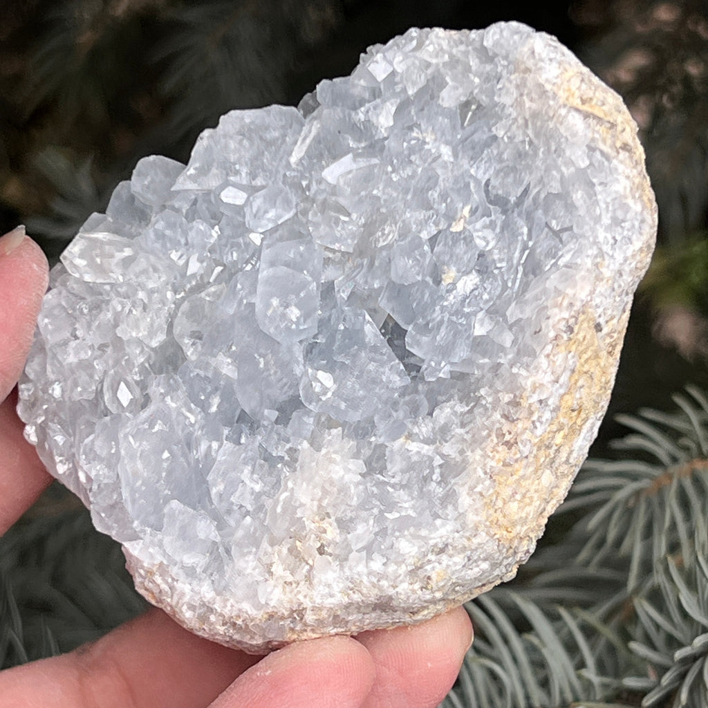 Celestit /celestina cluster m9, pietre semipretioase - druzy.ro 8 