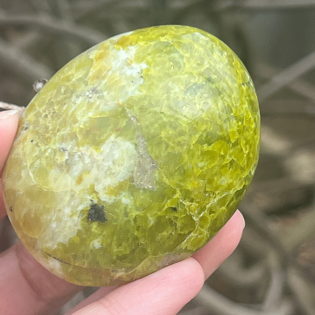 Opal verde palmstone m16, pietre semipretioase - druzy.ro 2 