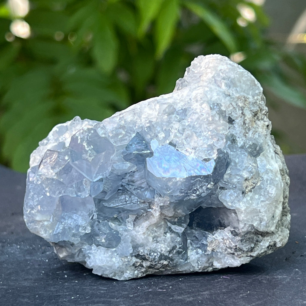 Celestit / celestina cluster m16, pietre semipretioase - druzy.ro 3 