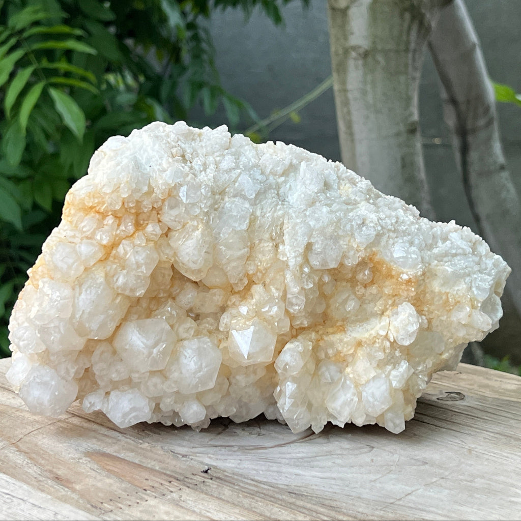 Specimen cuart fantoma, cuart ananas din Madagascar model XL1, pietre semipretioase - druzy.ro 1 