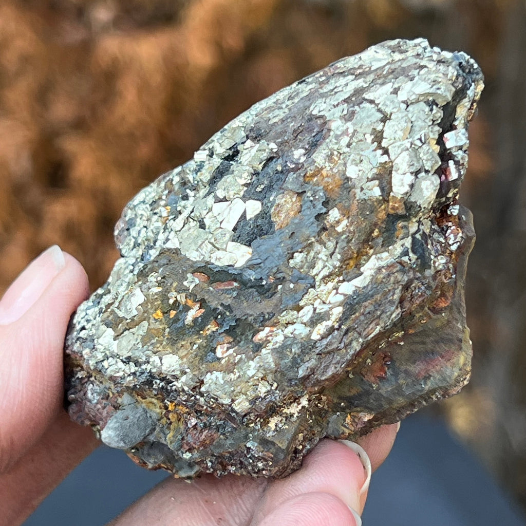 Shungit cu pirita model 10, druzy.ro, cristale 2