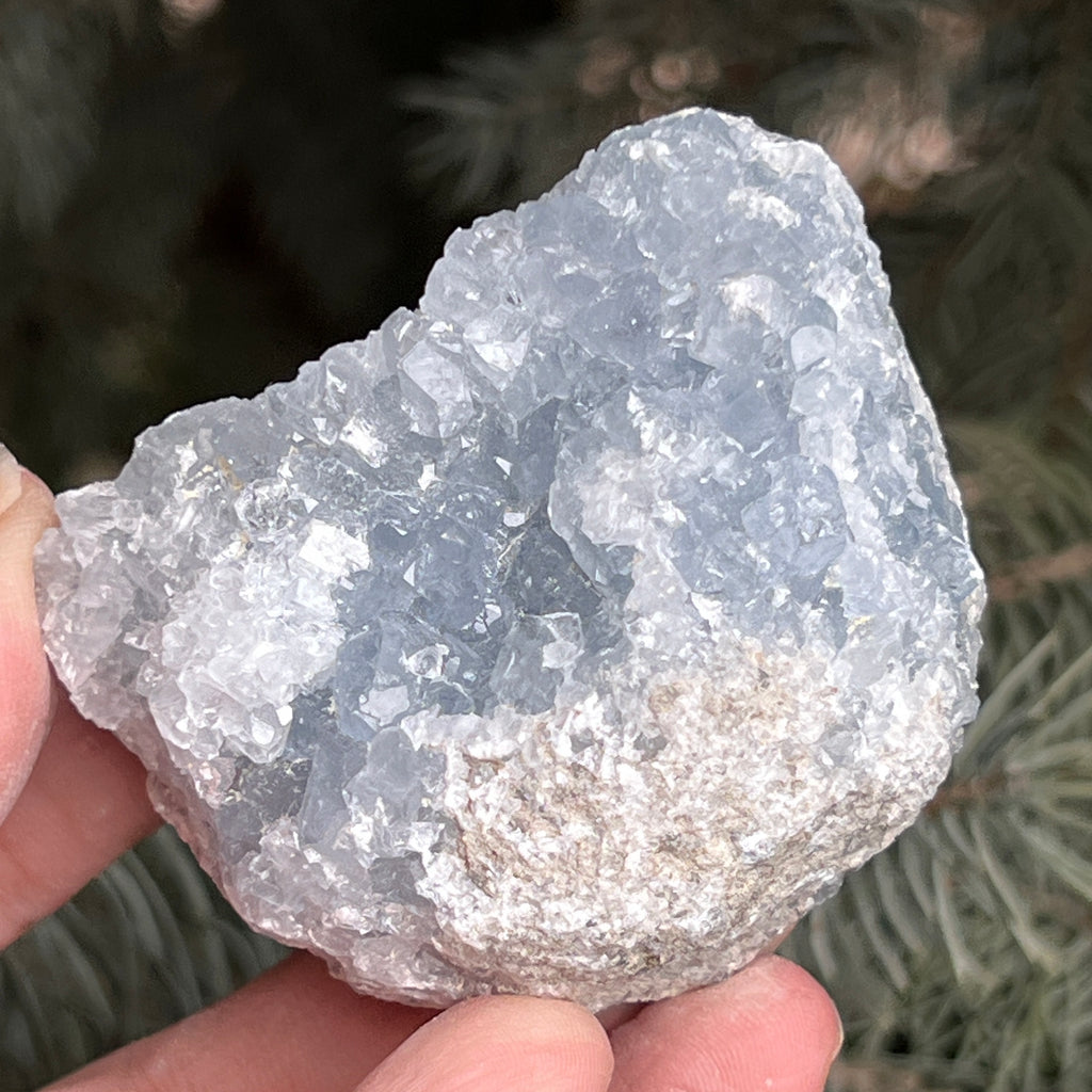 Celestit / celestina cluster m7, pietre semipretioase - druzy.ro 5 