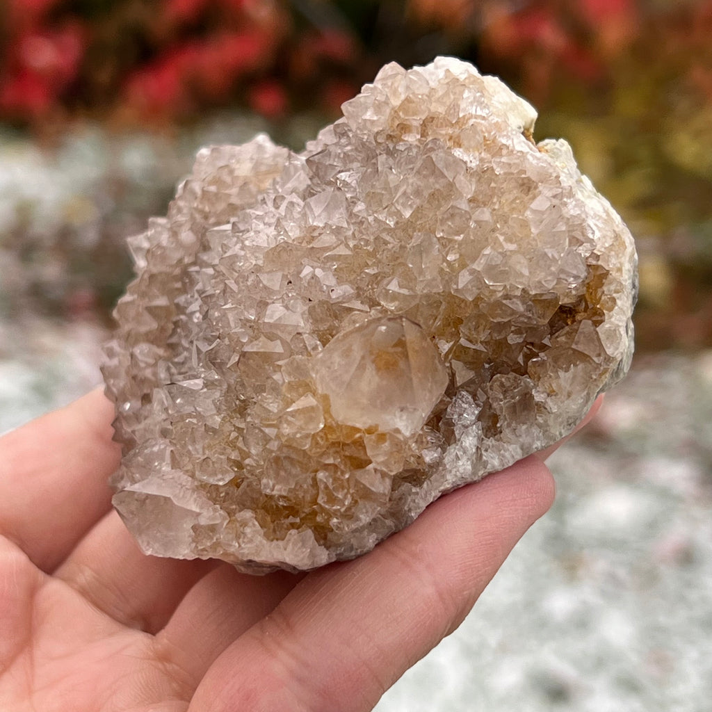 Cluster cuart cactus / cuart spirit ametist model 13A, druzy.ro, cristale 4