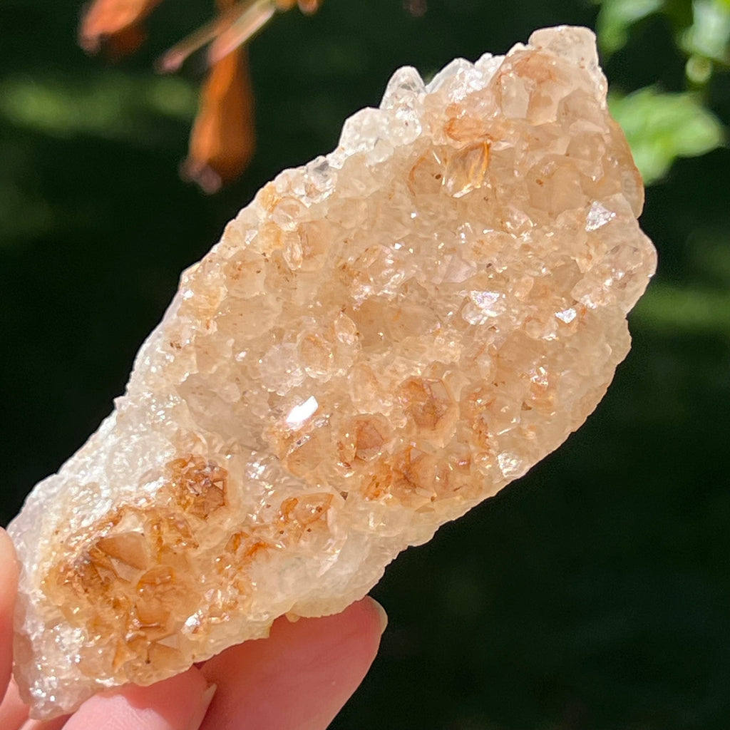 Cluster cuart lamaie Zambia, golden healer model Lm9, pietre semipretioase - druzy.ro 1