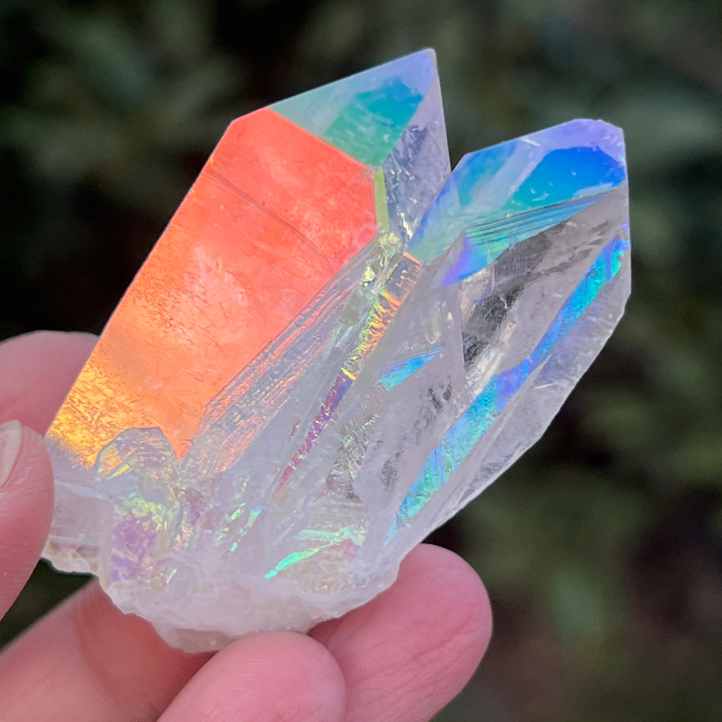 Cluster cuart incolor AURA, floare de mina m1, pietre semipretioase - druzy.ro 1 