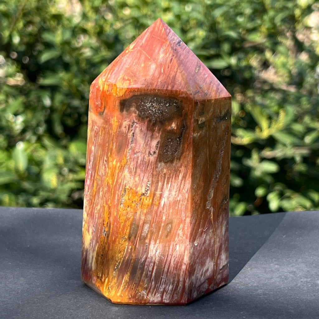Obelisc lemn pietrificat m2, pietre semipretioase - druzy.ro 1 