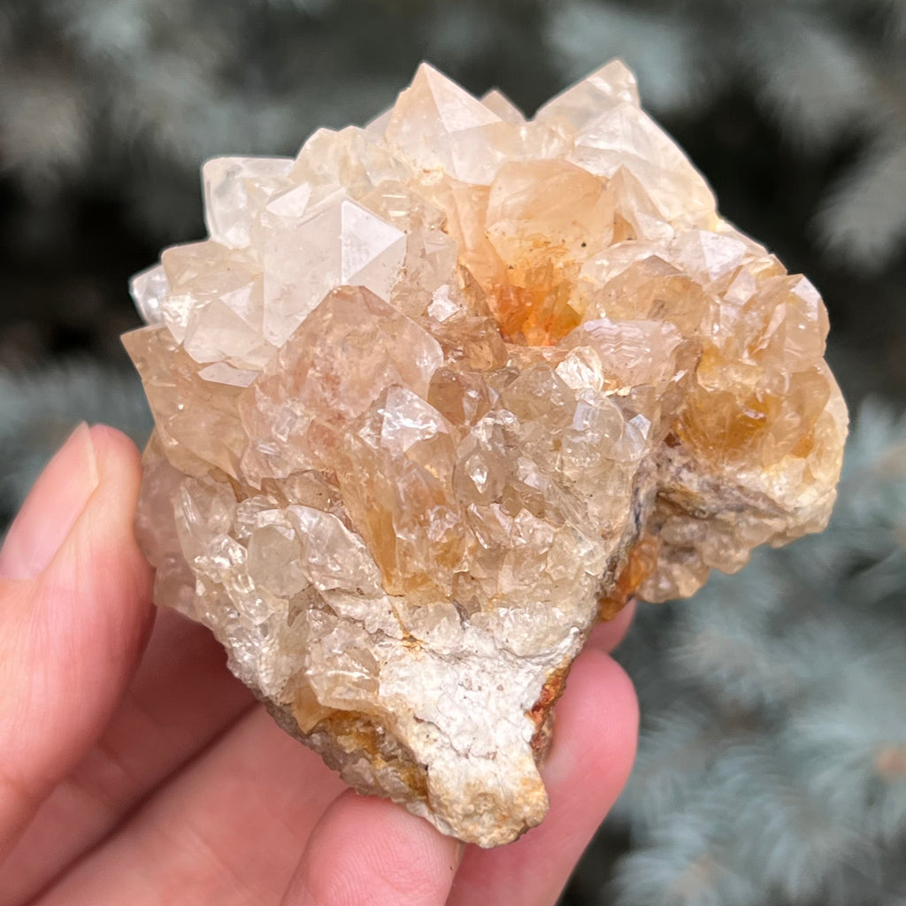 Cluster cuart cactus / cuart spirit model 41, druzy.ro, cristale 2