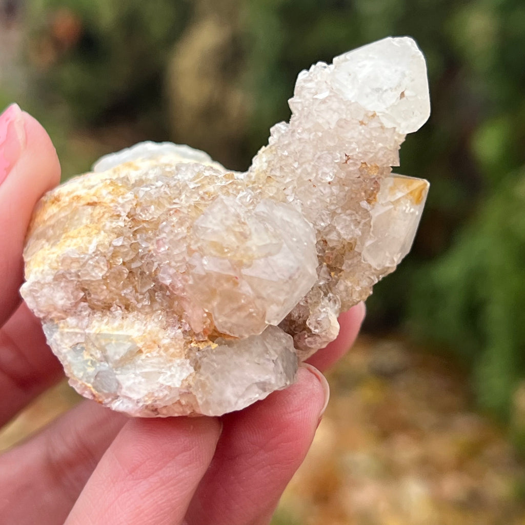 Cluster cuart spirit/cuart cactus mini model AF3/3, druzy.ro, cristale 2