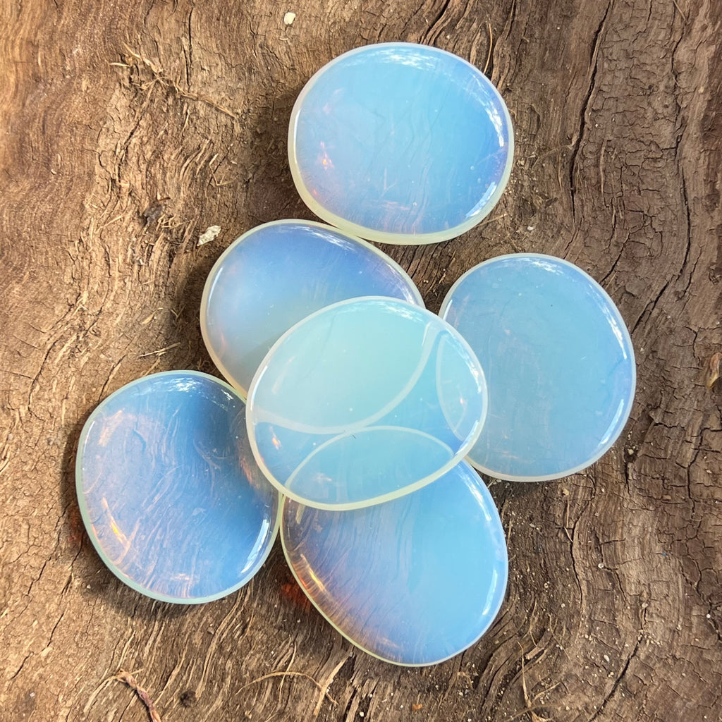 Opalit palmstone 4-4.5 cm, druzy.ro, pietre semipretioase 3
