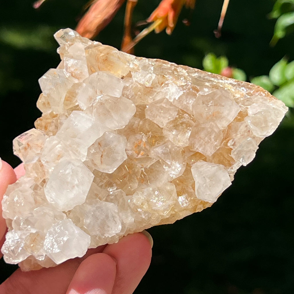 Cluster cuart lamaie Zambia, golden healer model Lm4, pietre semipretioase - druzy.ro 1