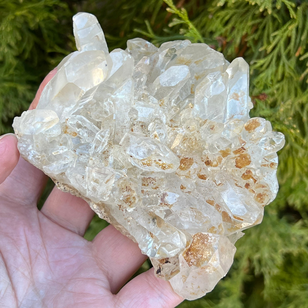 Cluster cuart incolor, floare de mina, cristal de stanca Zimbabwe m2, druzy.ro, cristale 5