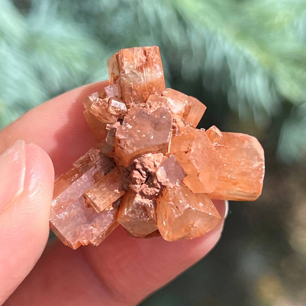 Cluster cristal aragonit din Maroc model 4, druzy.ro, cristale 2