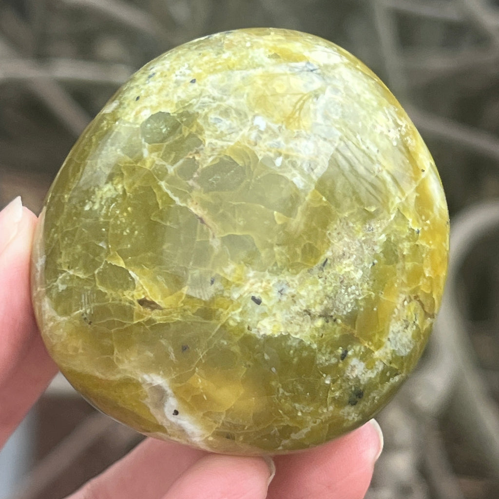 Opal verde palmstone m4, pietre semipretioase - druzy.ro 8 