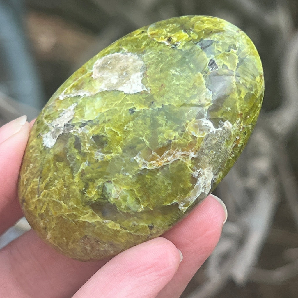 Opal verde palmstone m12, pietre semipretioase - druzy.ro 4 