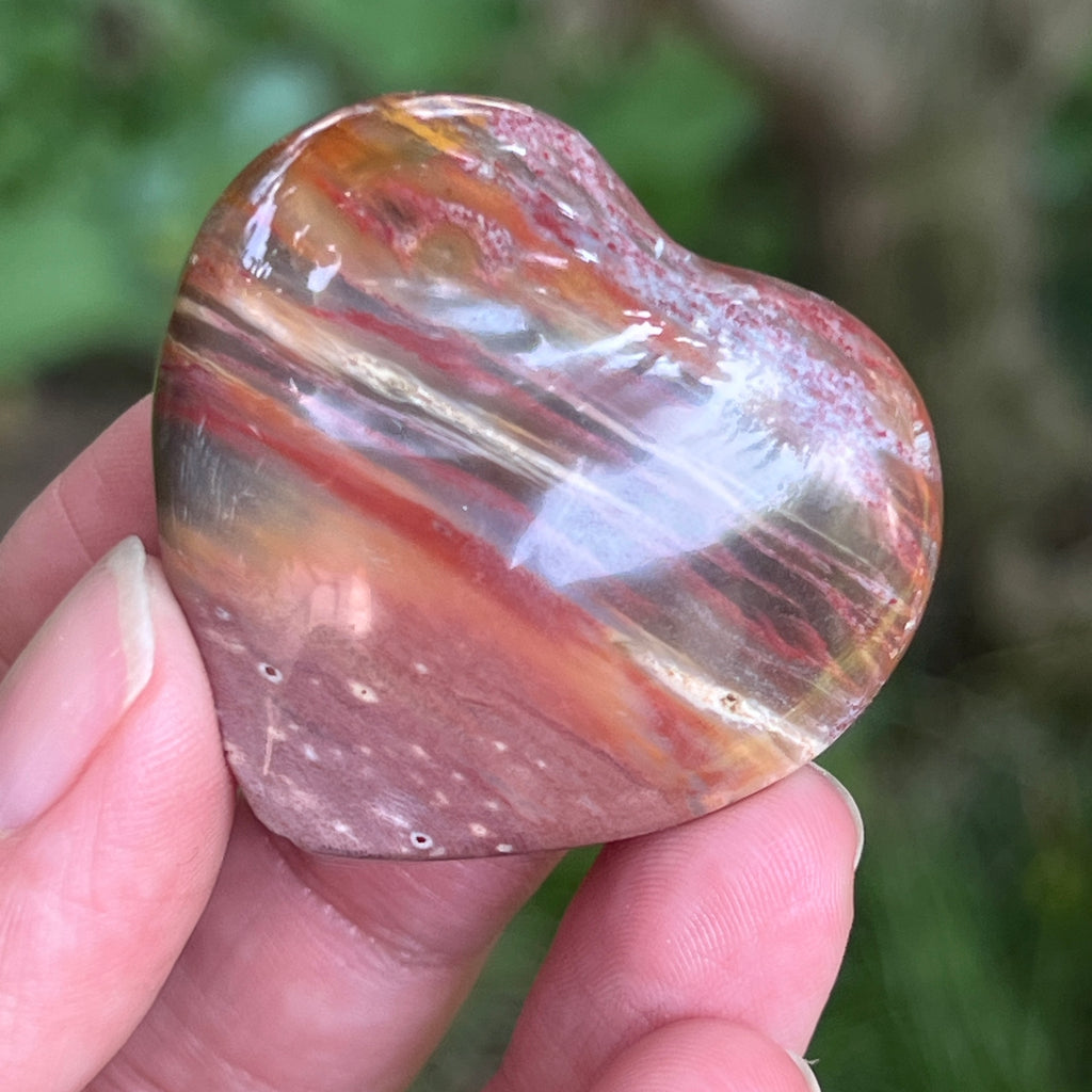 Inima lemn pietrificat, pietre semipretioase - druzy.ro 6 