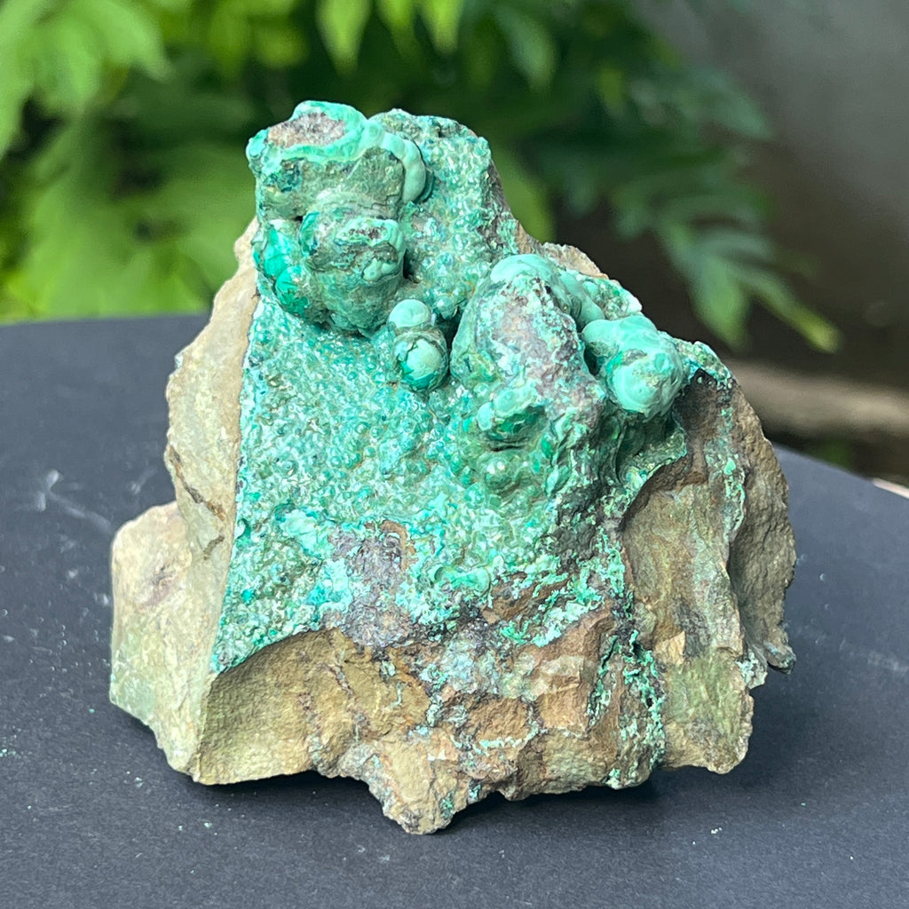 Cluster crisocola botrioidală model 2 din Congo, pietre semipretioase - druzy.ro 1 