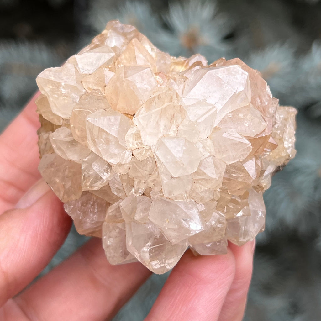 Cluster cuart cactus / cuart spirit model 41, druzy.ro, cristale 6