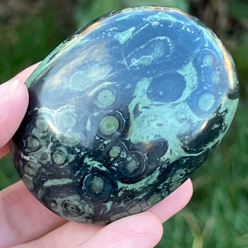 Palmstone jasp kambaba model 9, pietre semipretioase - druzy.ro 1 
