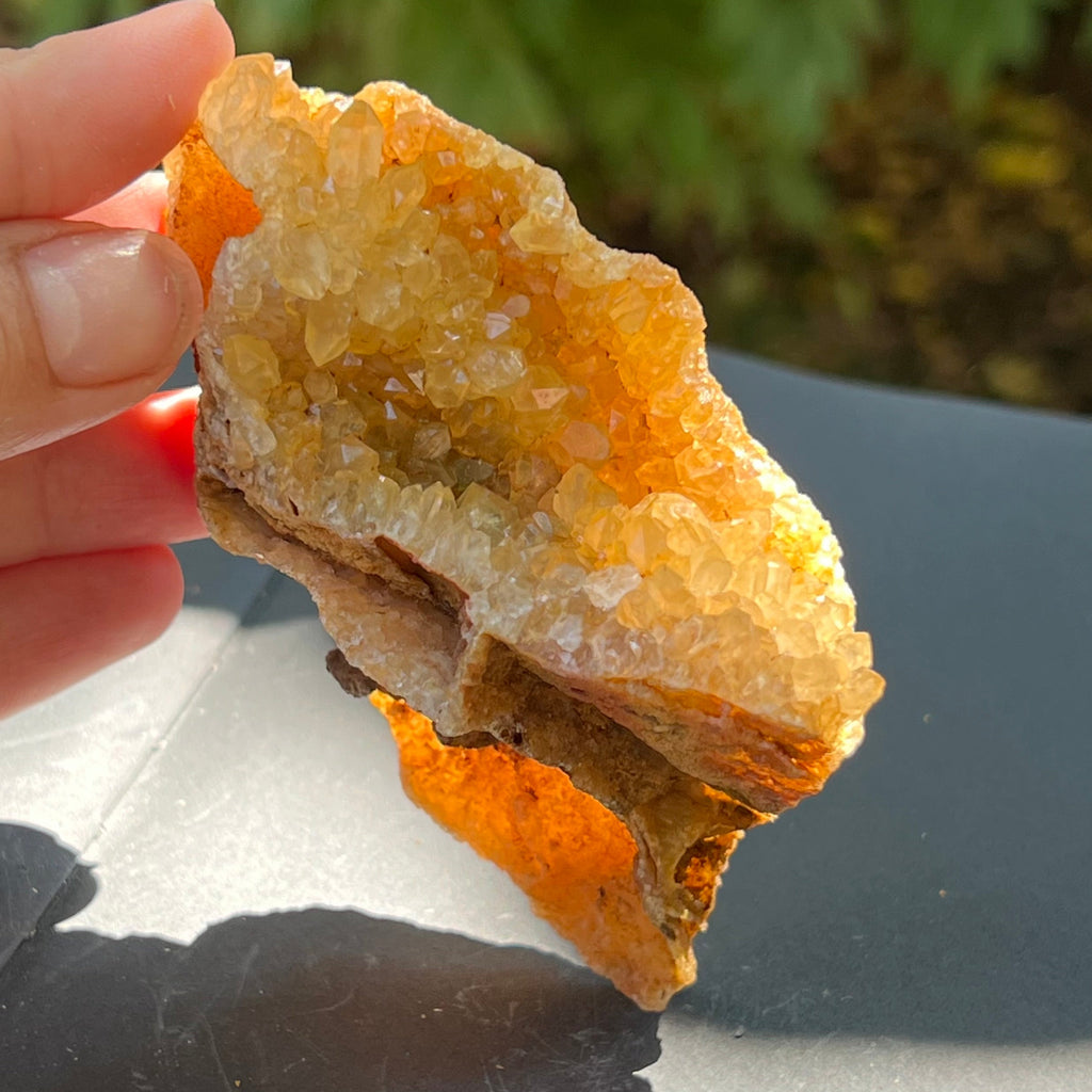 Cluster cuart lamaie, golden healer 5A/6, Zambia, pietre semipretioase - druzy.ro 6