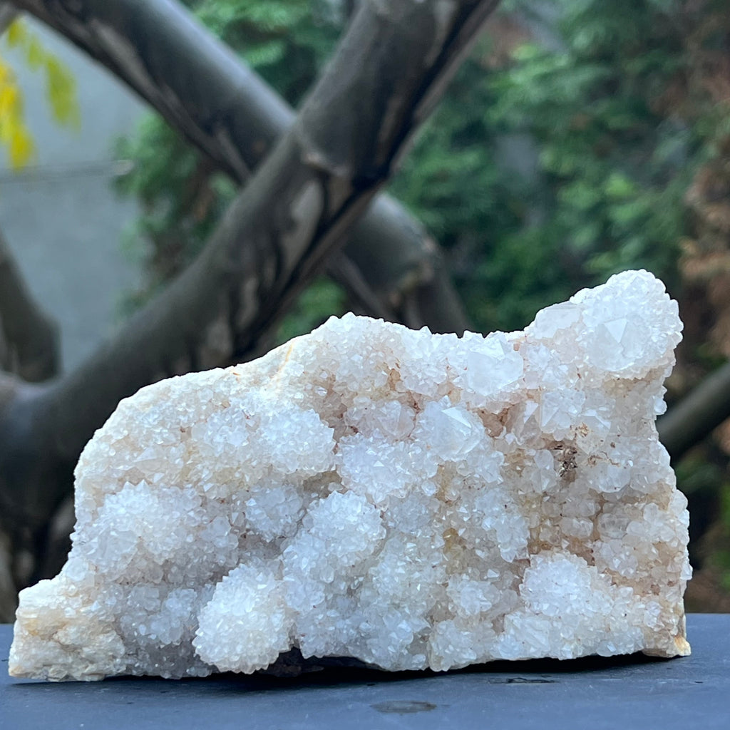 Cluster cuart cactus / cuart spirit model 3A1, druzy.ro, cristale 1
