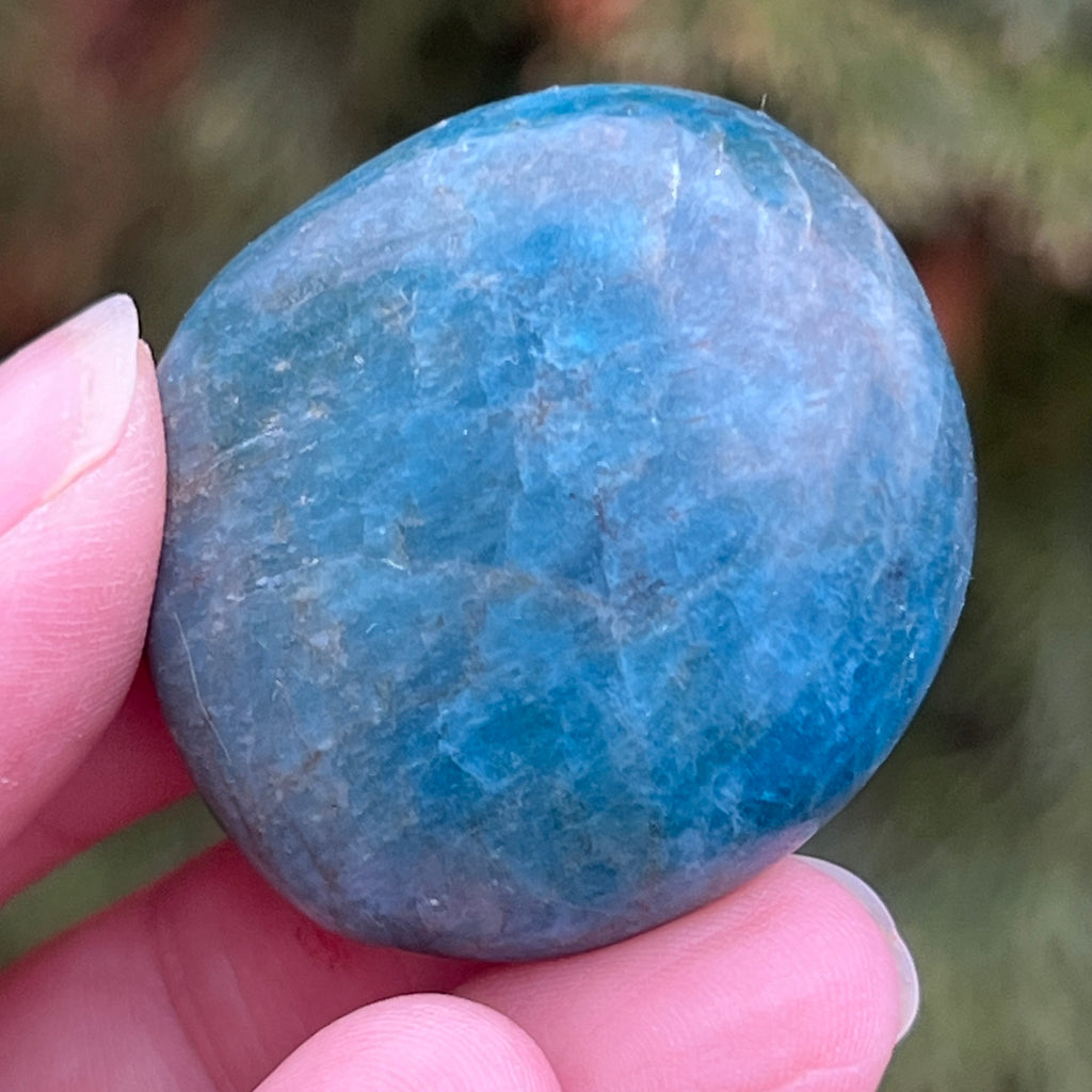 Apatit rulat palmstone model 5, pietre semipretioase - druzy.ro 5 