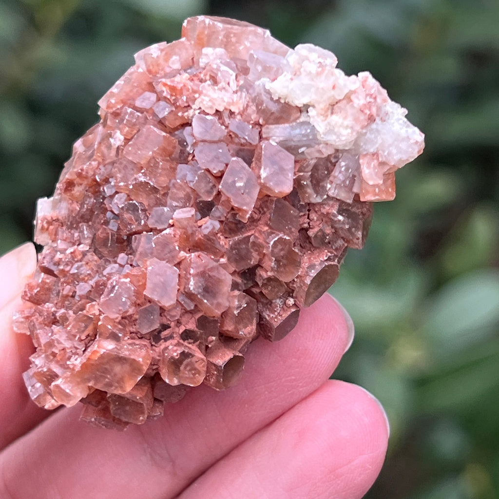 Cluster cristal aragonit din Maroc model L2, pietre semipretioase - druzy.ro 5 