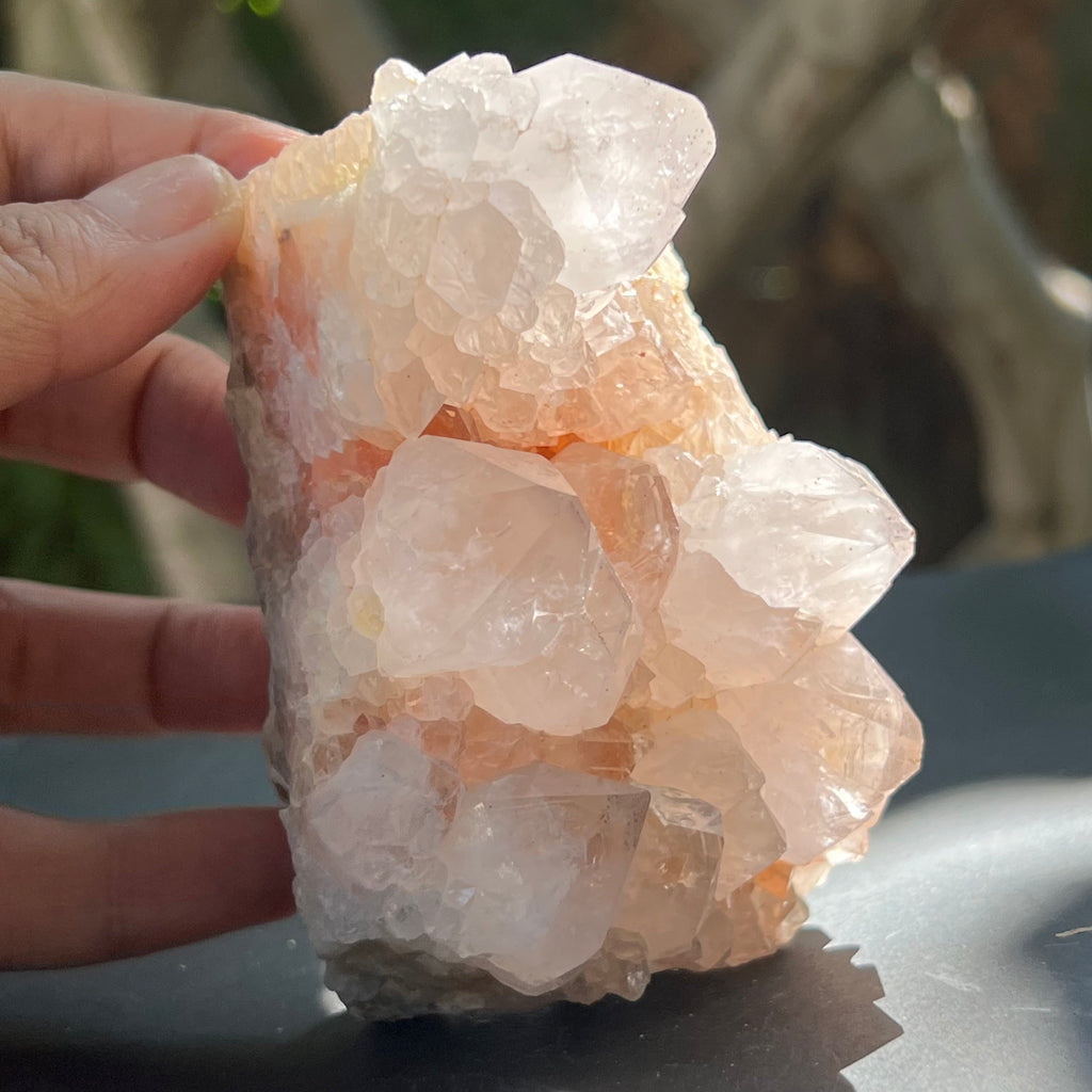 Cluster cuart cactus / cuart spirit FLOWER model F7, druzy.ro, pietre semipretioase 1