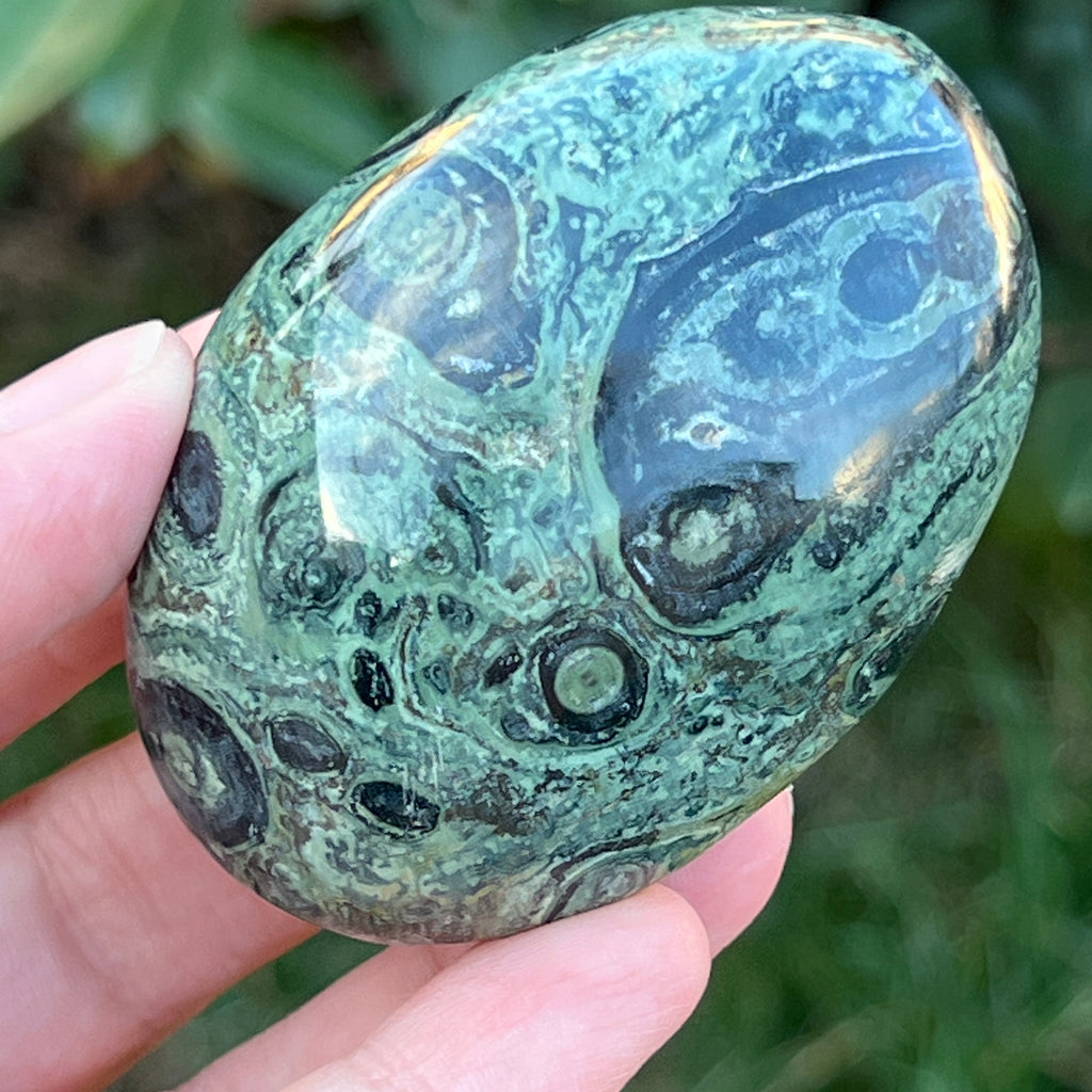 Palmstone jasp kambaba model 10, pietre semipretioase - druzy.ro 6 