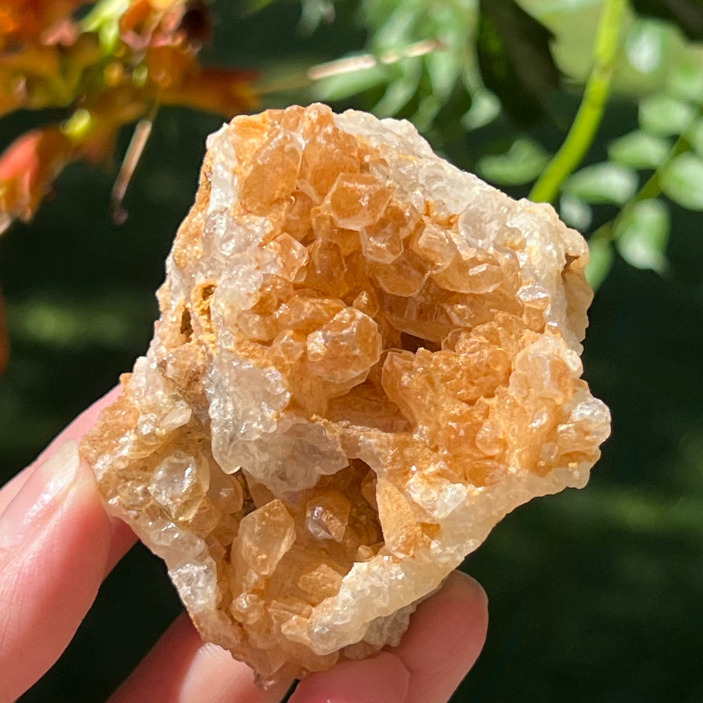 Cluster cuart lamaie Zambia, golden healer model Lm12, pietre semipretioase - druzy.ro 6