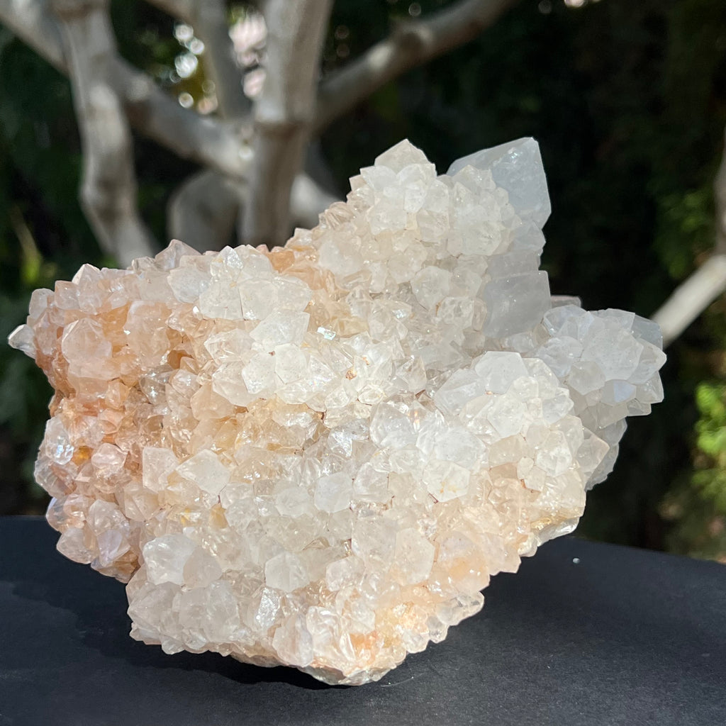 Cluster XL cuart cactus / cuart spirit model 1 Africa de Sud, druzy.ro, cristale 2