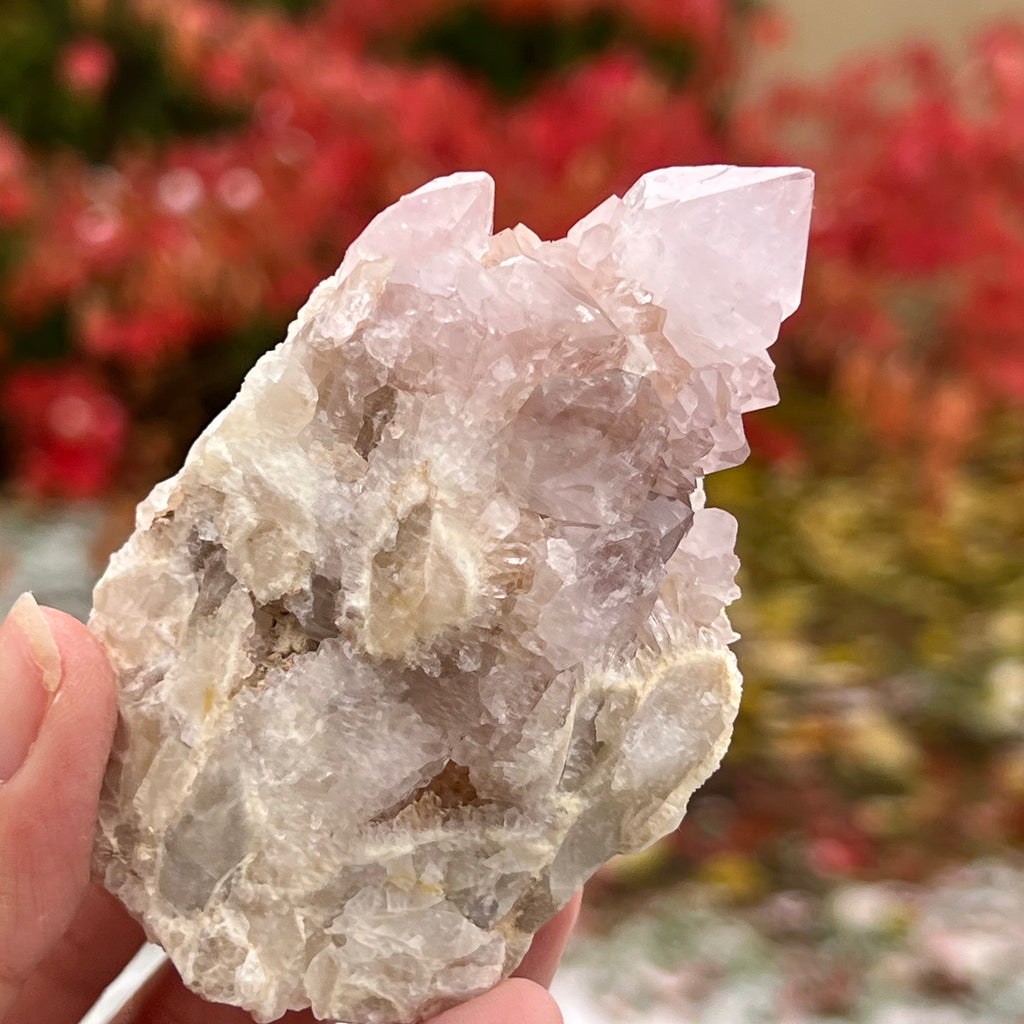 Cluster cuart cactus / cuart spirit ametist liliac model 9A, druzy.ro, cristale 4