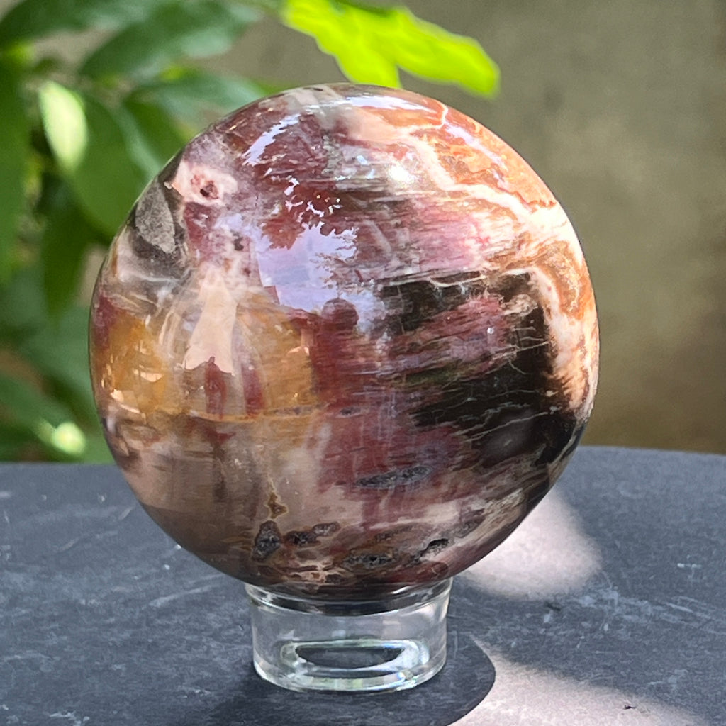 Sfera lemn pietrificat | Model 1, pietre semipretioase - druzy.ro 3 