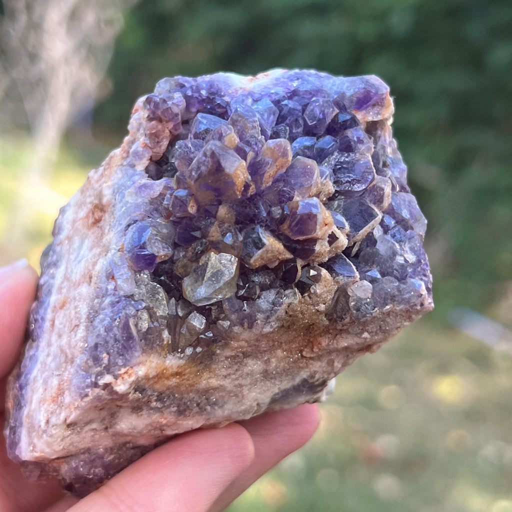 Cluster ametist model 14, druzy.ro, cristale 2