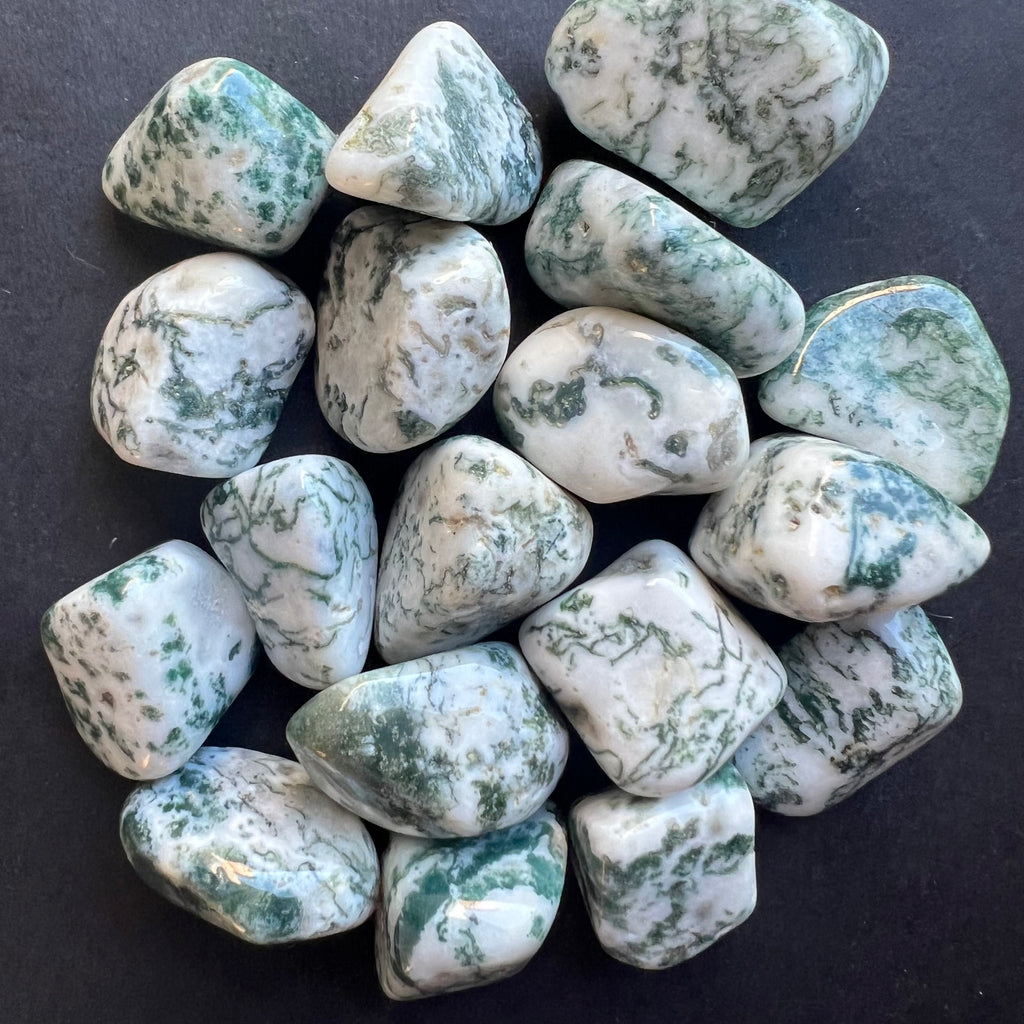 Agat copac piatra rulata mini, druzy.ro, cristale 1