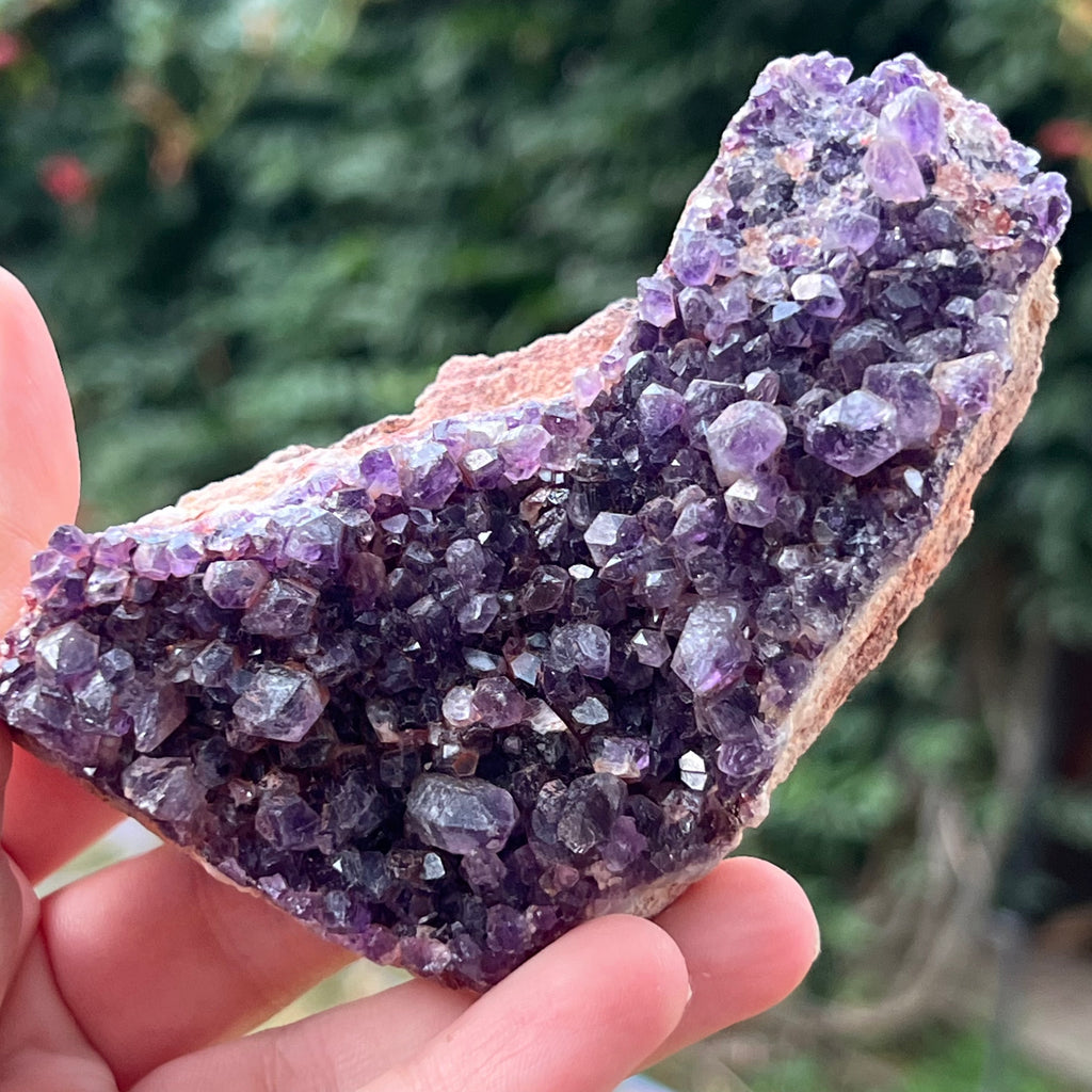 Cluster ametist model 18, druzy.ro, cristale 1