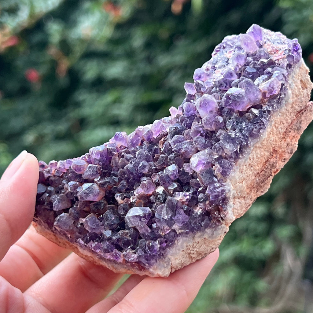 Cluster ametist model 18, druzy.ro, cristale 2