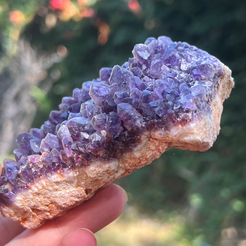 Cluster ametist model 20, druzy.ro, cristale 6