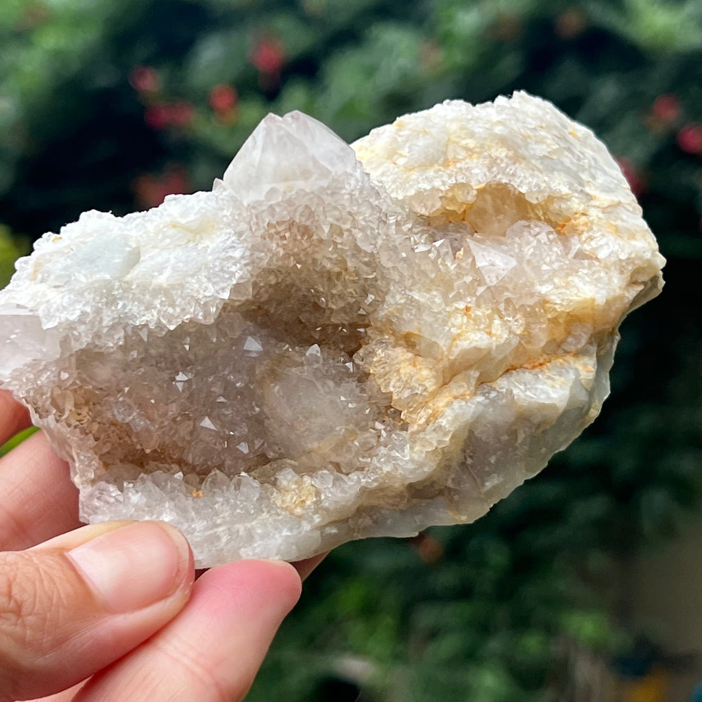 Cluster cuart cactus / cuart spirit model 17, druzy.ro, cristale 2