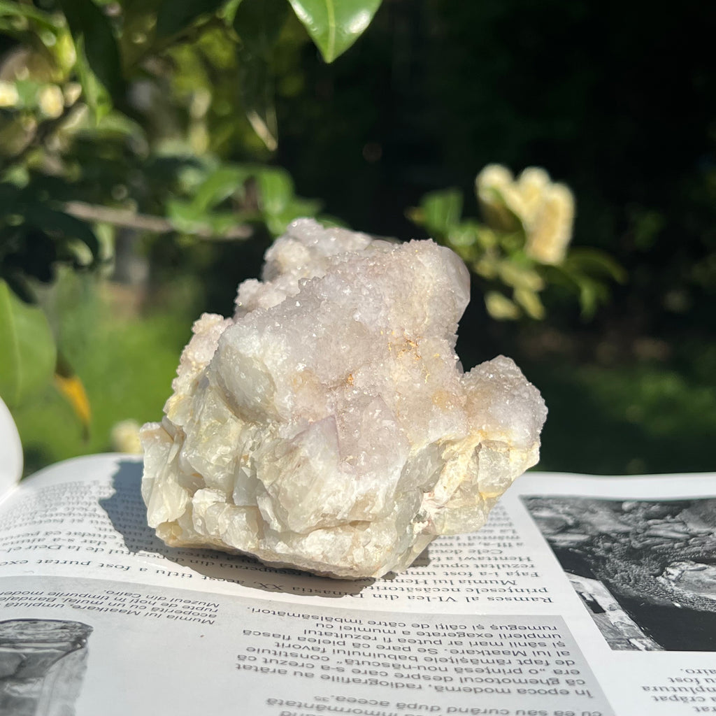 Cluster cuart cactus / cuart spirit model 18, druzy.ro, cristale 6