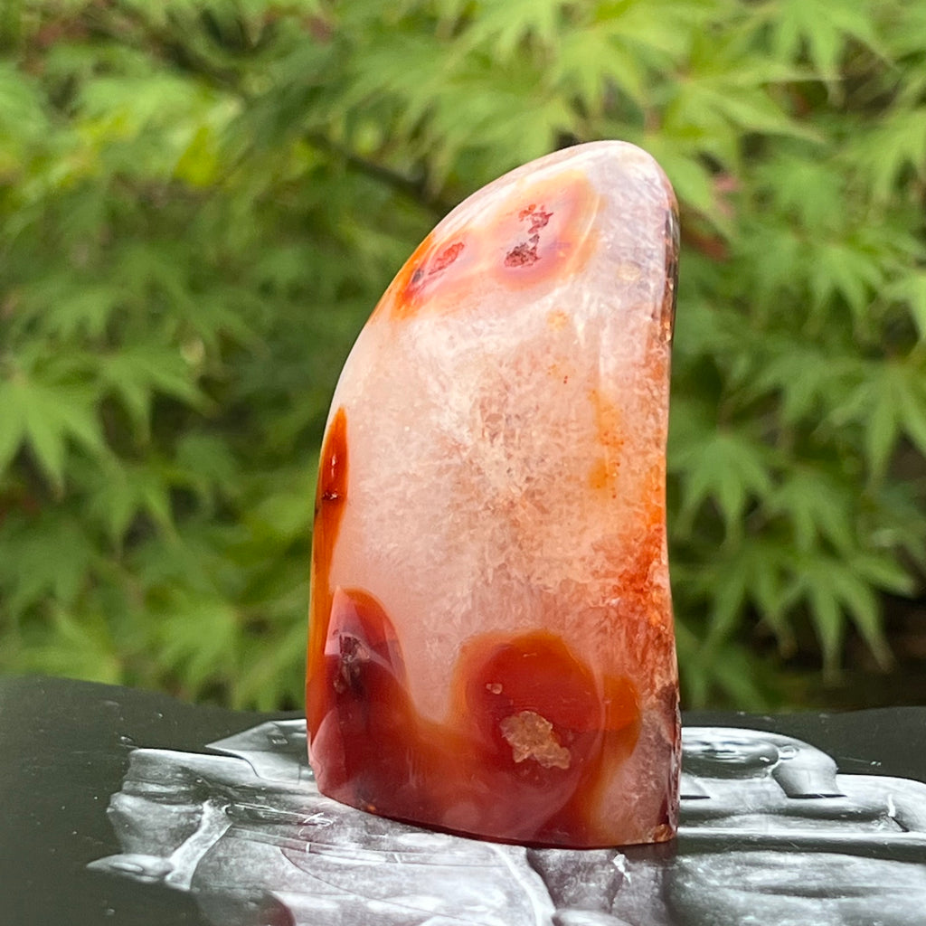Carneol structura forma libera m1, druzy.ro, cristale 7
