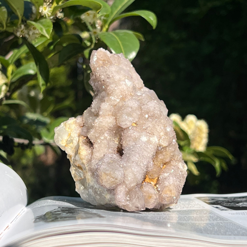Cluster cuart cactus / cuart spirit model 15, druzy.ro, cristale 6
