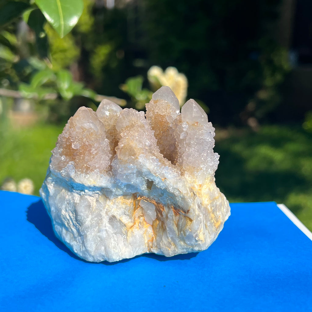 Cluster cuart cactus / cuart spirit model 11, druzy.ro, cristale 6