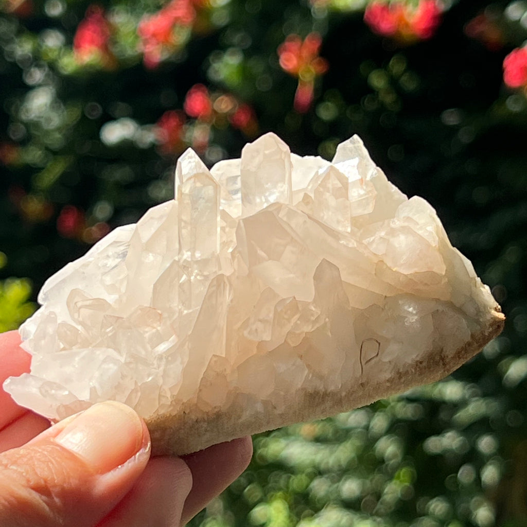 Cluster cuart Malagasy incolor m8, druzy.ro, cristale 2