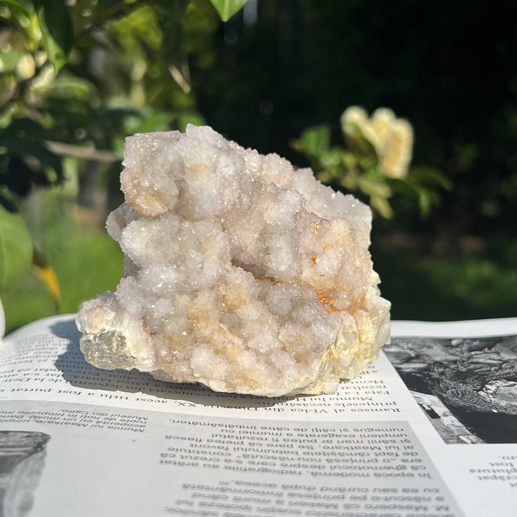 Cluster cuart cactus / cuart spirit model 18, druzy.ro, cristale 8