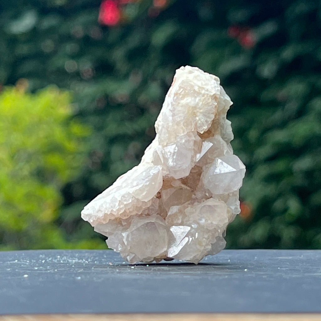 Cluster cuart spirit/cuart cactus mini model 7, druzy.ro, cristale 2