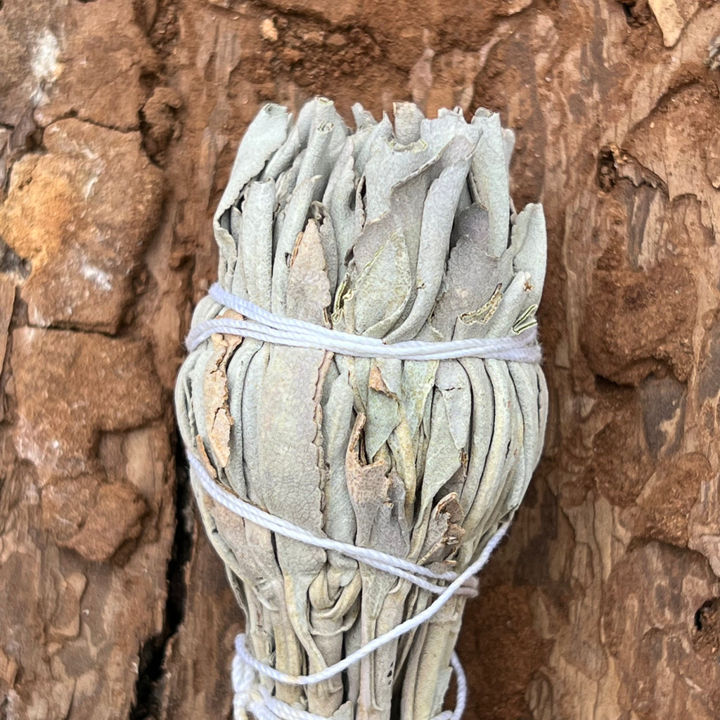 Buchet Salvie Alba Torta 12 * 4 cm White Sage, druzy.ro 4