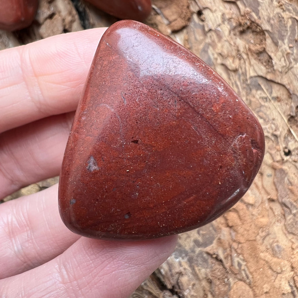 Jasp rosu (visiniu) piatra rulata / palmstone, druzy.ro, cristale 2