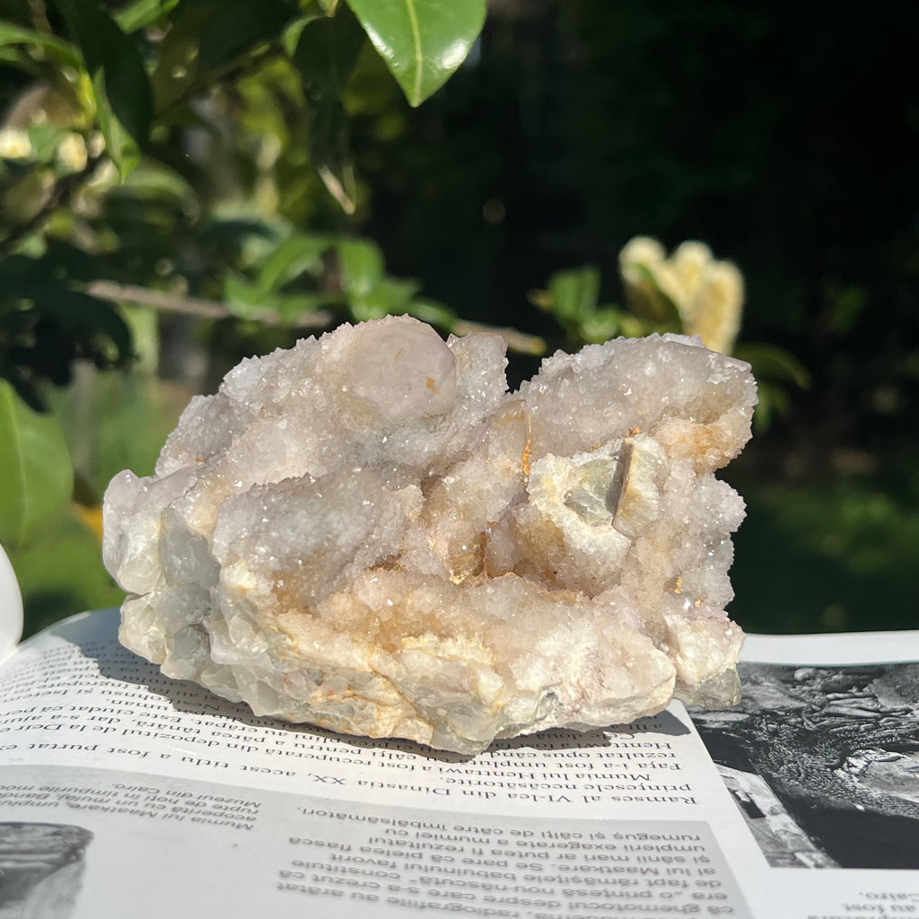 Cluster cuart cactus / cuart spirit model 18, druzy.ro, cristale 7