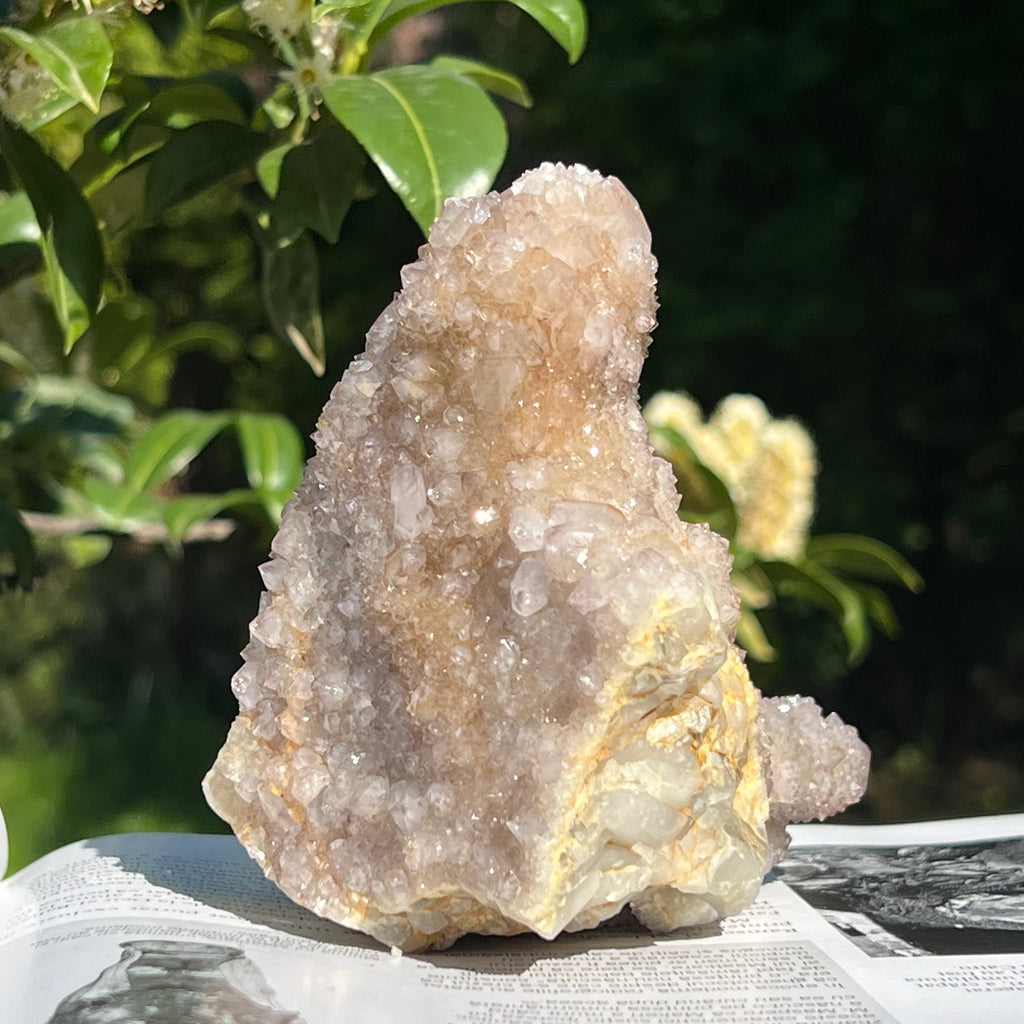 Cluster cuart cactus / cuart spirit model 15, druzy.ro, cristale 8